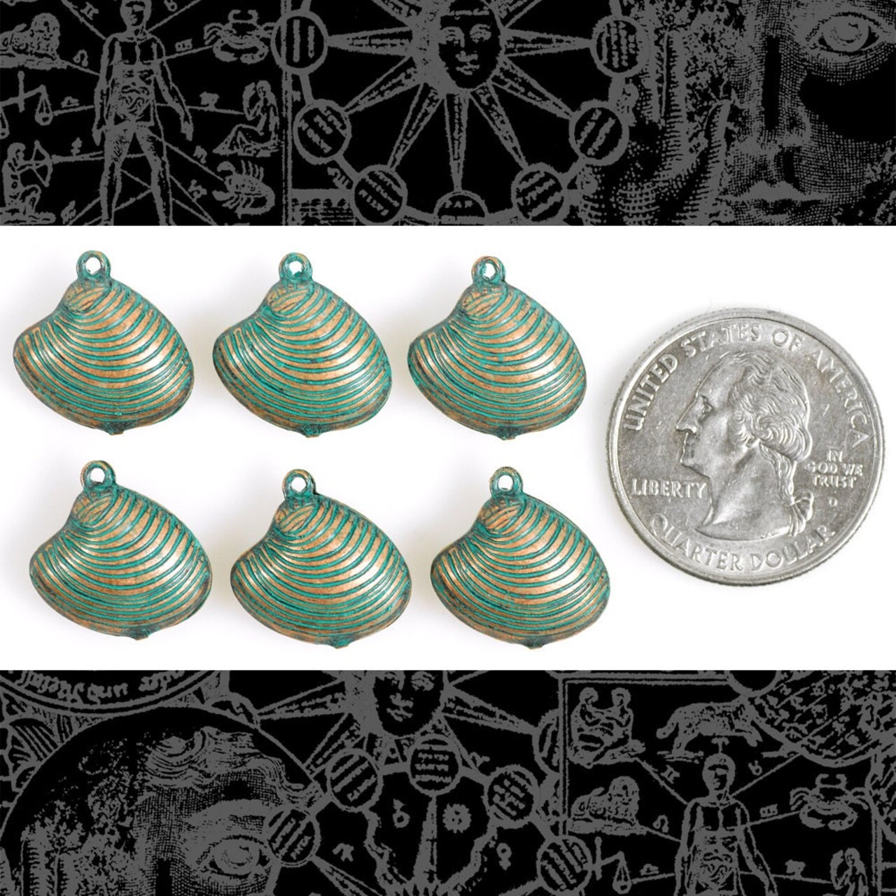 Verdigris Finished Brass Clam Shell Two Sided Charms - Set of Six - V-C135